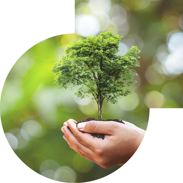 關懷人類、文化、環境與社會